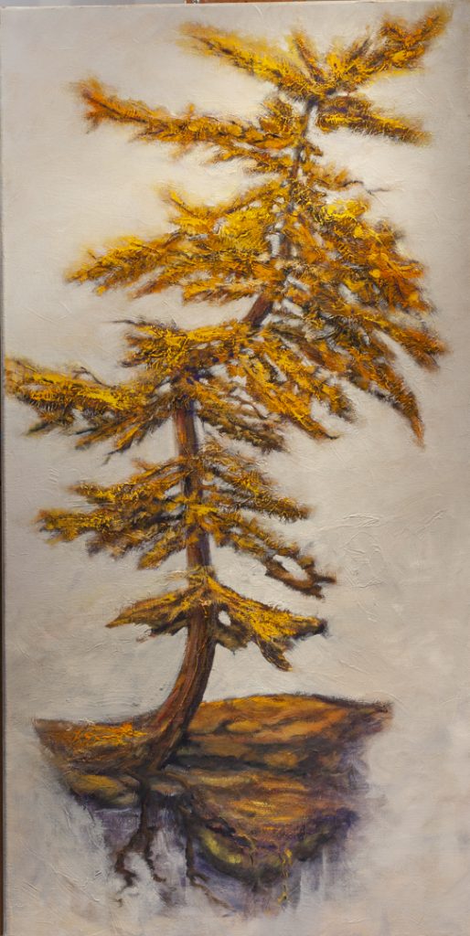 An original oil painting of a fall Larch or Tamarack tree.